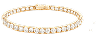bg-vector